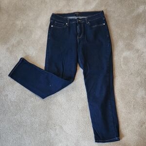 Banana Republic Dark Blue Skinny Jeans
